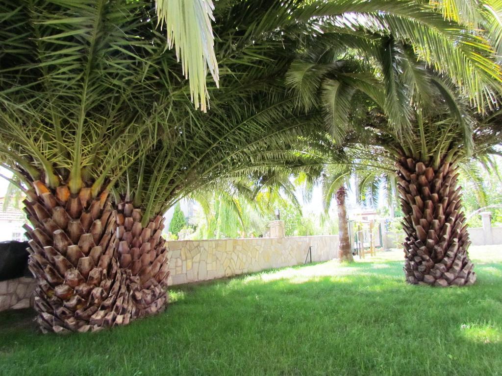 Dalyan Palmiye Resort Hotel Buitenkant foto
