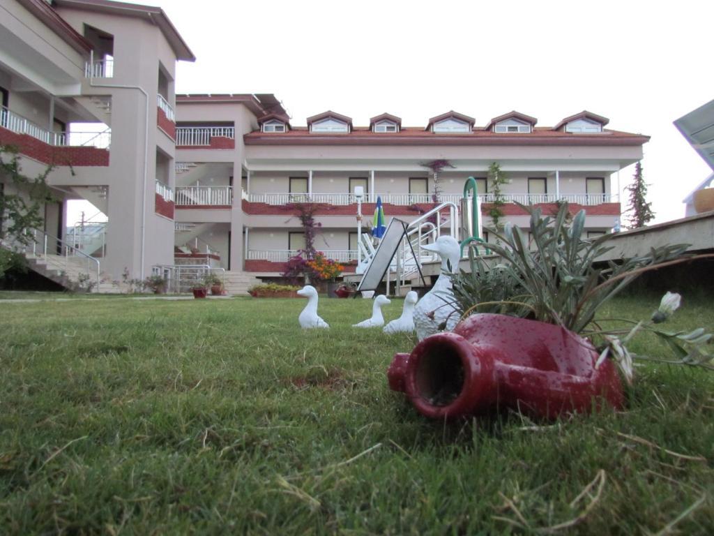 Dalyan Palmiye Resort Hotel Buitenkant foto