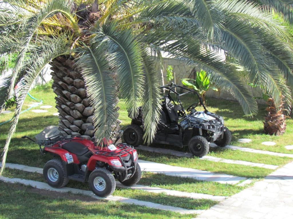 Dalyan Palmiye Resort Hotel Buitenkant foto