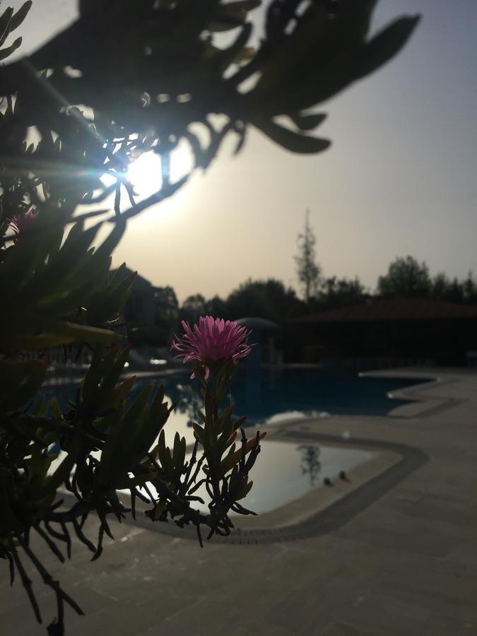 Dalyan Palmiye Resort Hotel Buitenkant foto