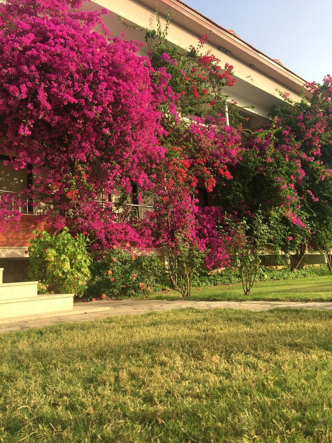 Dalyan Palmiye Resort Hotel Buitenkant foto